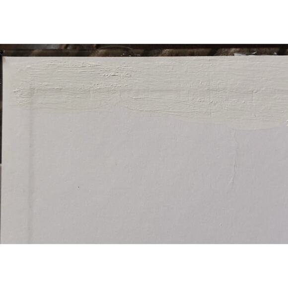 NIV Boys' Bible with studies by Zonderkidz (2011, Hardcover) READ - Picture 14 of 14